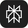 Perplexity logo